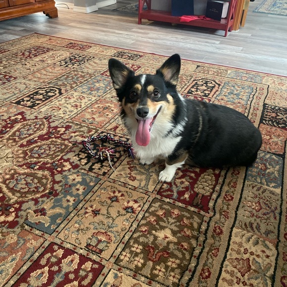 Meet your Posher, Rita - Picture 2 of 5